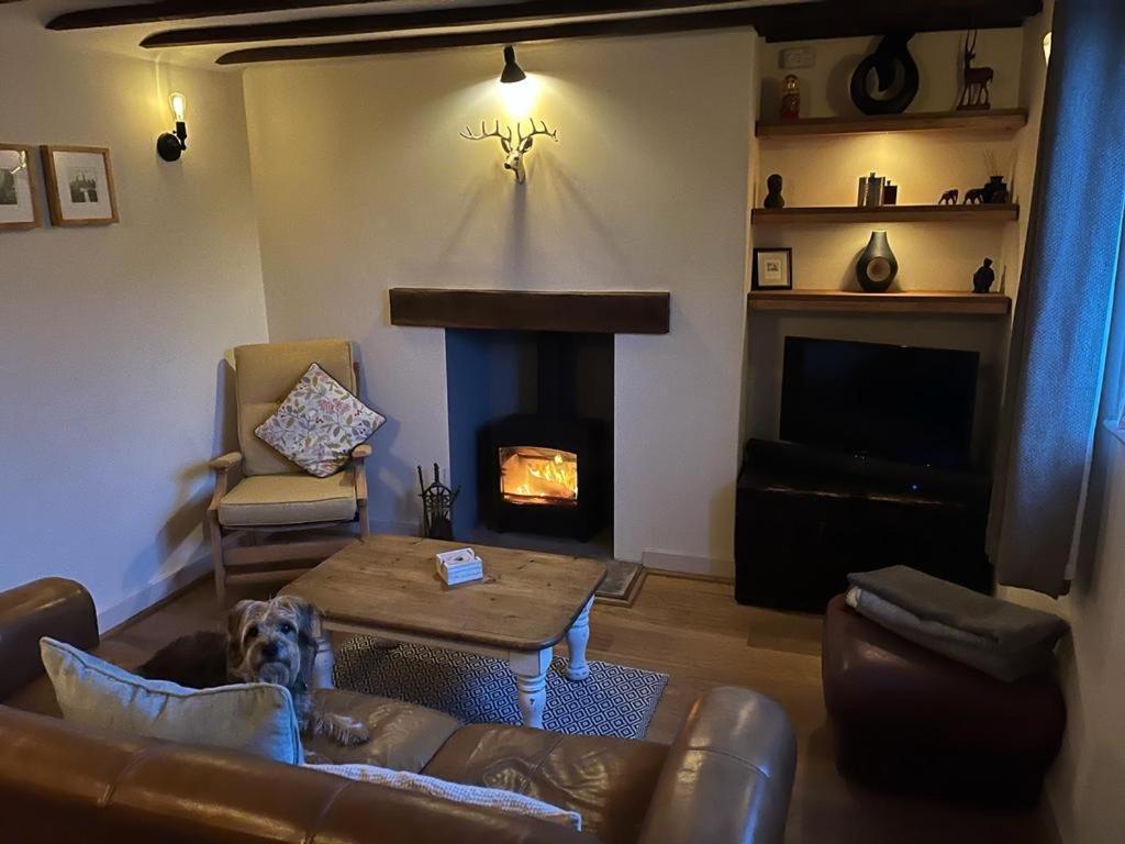 Cosy Flint Cottage WTA WTA Eastbourne Exterior foto
